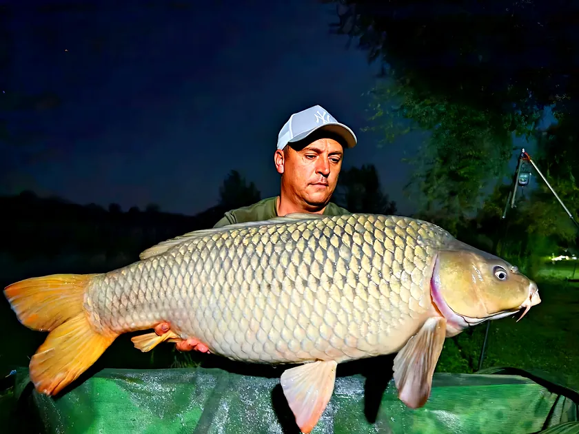Captură la Balta Otto