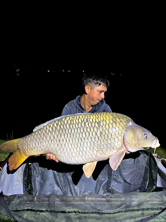 Captură la Balta Otto
