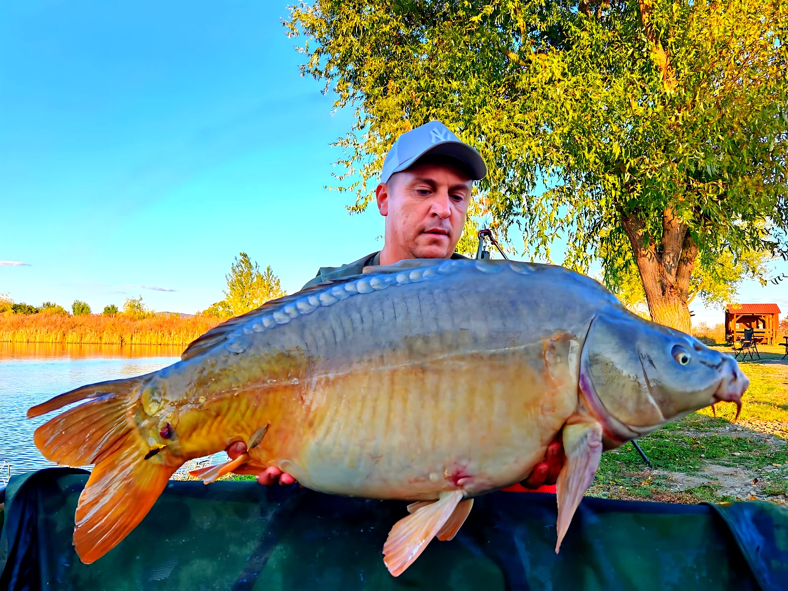 Crap de peste 30 kg prins la Balta Otto